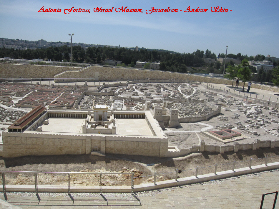 KR_caccm_Easter View from The Mt. of Olives 010.JPG